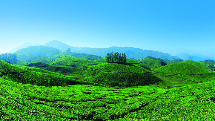 https://d3r8gwkgo0io6y.cloudfront.net/upload/munnar final 01.jpg